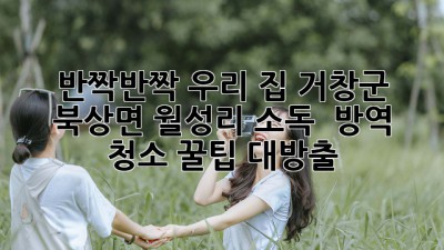 ✨반짝반짝✨ 우리 집, 거창군 북상면 월성리 소독 & 방역 청소 꿀팁 대방출! 🏡
