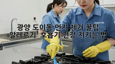 광양 도이동 먼지 제거 꿀팁🍯 알레르기 & 호흡기 건강 지키는 법